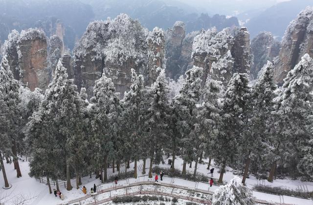 诗意中国丨白雪却嫌春色晚，故穿庭树作飞花#