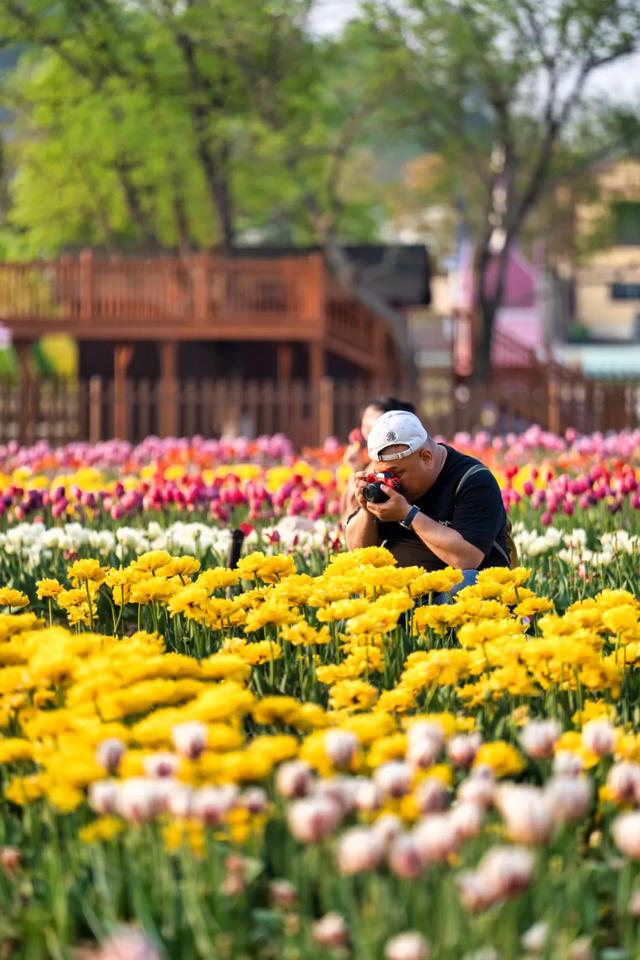 春游黄陂｜花点时间，与花相见