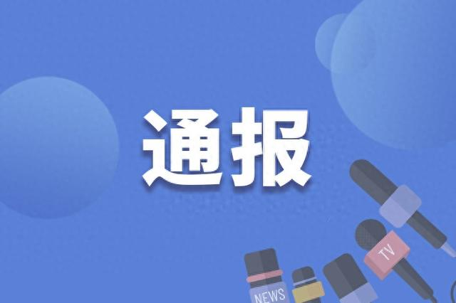 退休3年后，广州市人民政府原副秘书长张建华主动投案