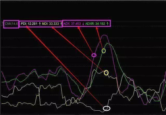 黄金不败指标组合：“MACD+KDJ+RSI+DMI”真正的高手都在用，简单实用