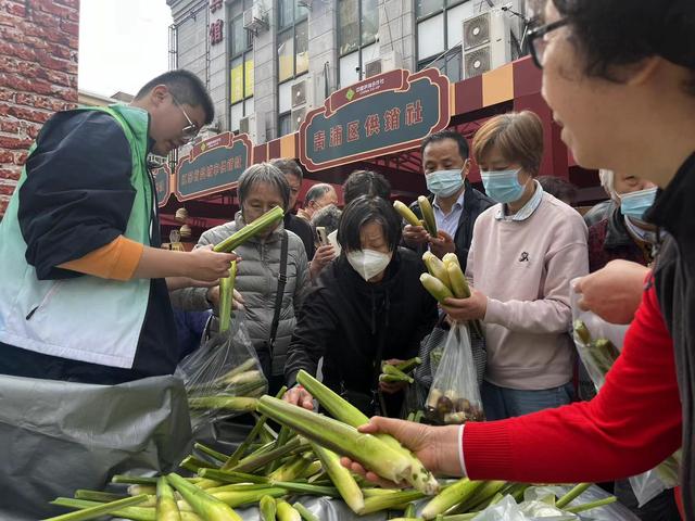 茭白、沃柑、鹿茸菇……生鲜直达！“雨生万谷悦美食”上海供销市集展销活动启动！