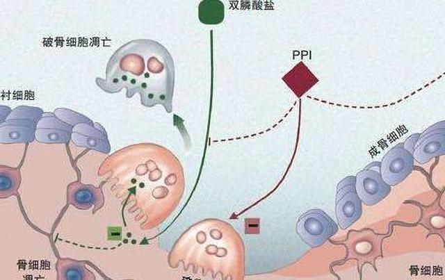 地磁翻转了？磁北极向南漂移2250公里，“纵穿”中国只是时间问题