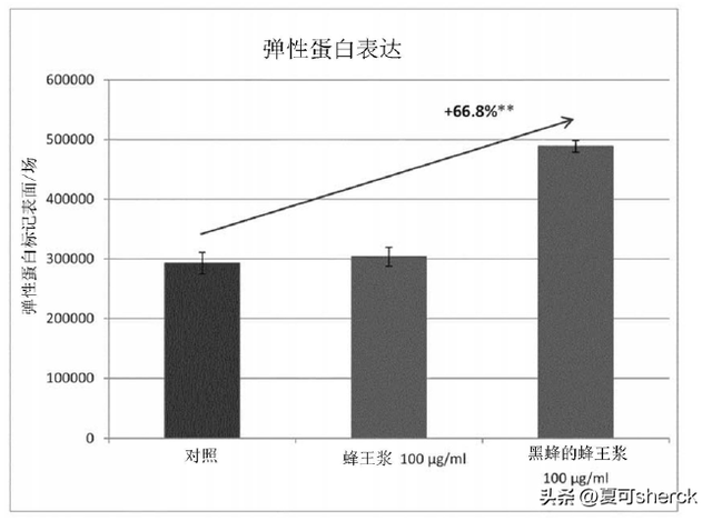 夏可叔叔讲美容——甜甜的蜂蜜，超宣的