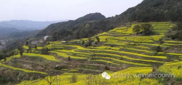 在前吴境舍，有位董小姐临湖而居，与你不期而遇