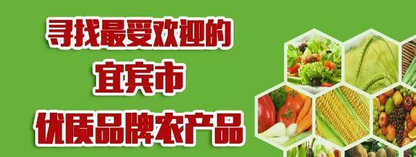 每小时只要8.4元！宜宾有4个停靠点，“共享汽车”真的来了？