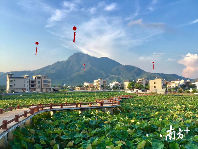 聚焦陆河两会②丨这座客家山城，未来将变身“绿色宜居家园”