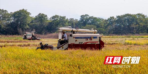 常宁国庆速写：他们用奋斗坚守，向祖国深情告白