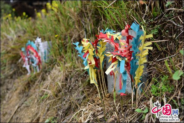 体验苗族祭桥风俗 传承弘扬黄平非遗