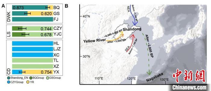 古代东亚如何南北交流东西融合？山东人群古基因组研究揭秘