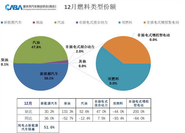 同环比双增长，重庆12月销量超4.9万辆，新能源占比高于行业