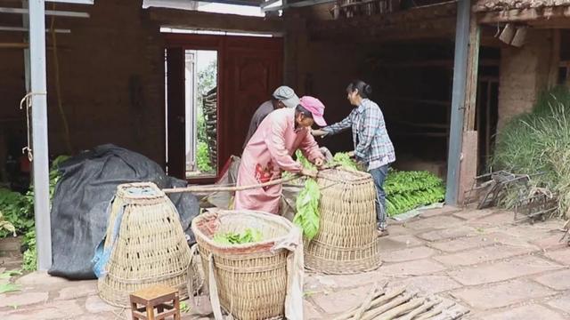 武定：女孩身患重病 家庭陷入困境