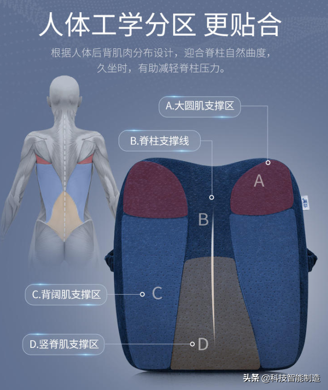 坐姿不对，腰椎负荷400斤！用腰靠坐垫界“小米”，让你久坐不累