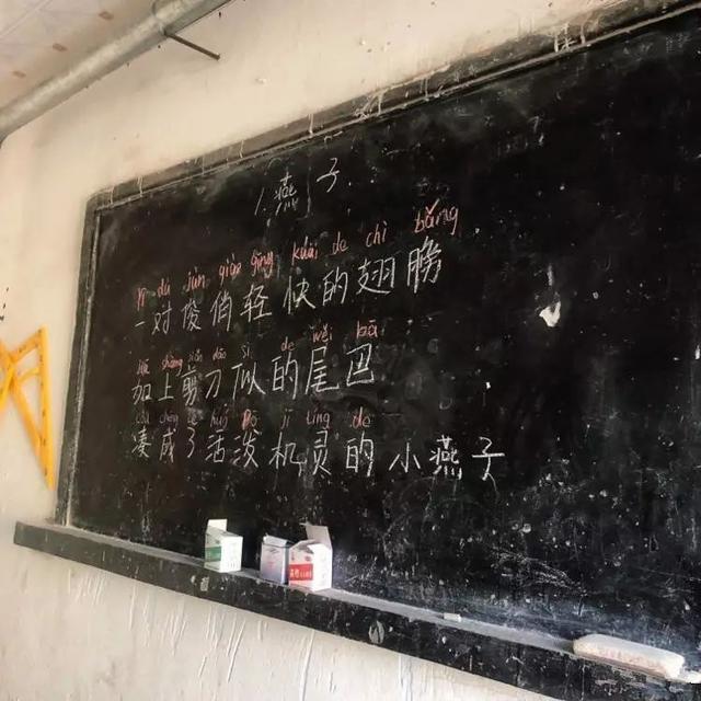 一个美女大学生，竟然剃了光头！原因和她一样美……