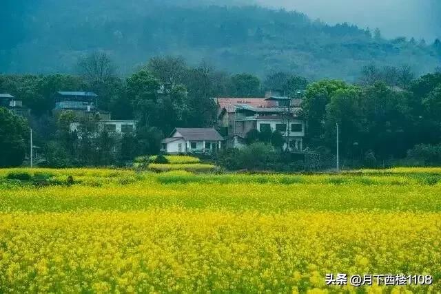 祁阳划给永州、耒阳回归衡阳，当时是谁起了关键作用