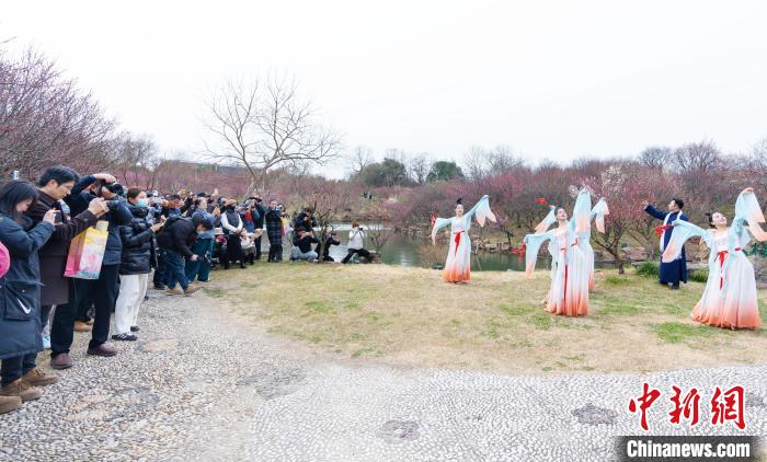 江苏扬州“早春”盛会：瘦西湖“梅花艺术季”启幕