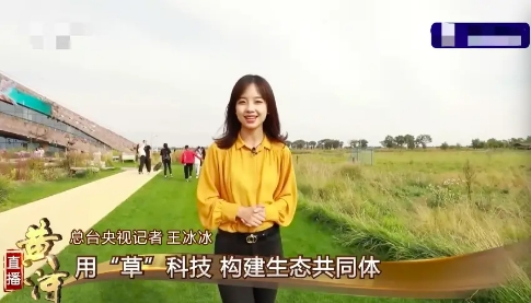 央视女主播胡蝶：美貌与才华，事业与婚姻应有尽有，只差当上国脸