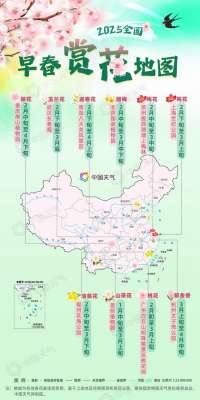 缤纷花事登场！2025全国早春赏花地图来了 一起解锁春日限定浪漫